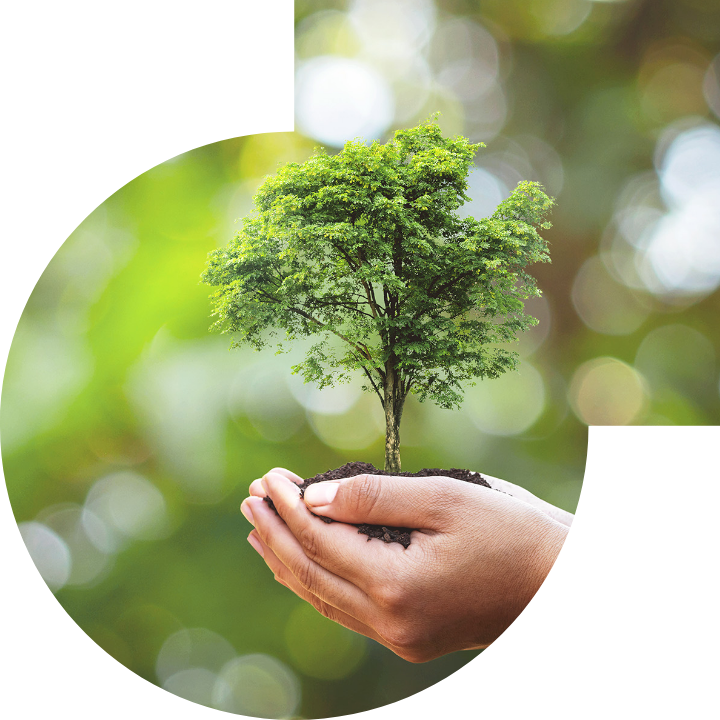 關懷人類、文化、環境與社會